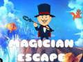 Spel Trollkarl Escape  på nätet