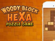 Spel Woody Block Hexa Pussel  på nätet