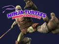 Spel Ninja Turtles Minneskort Match  på nätet