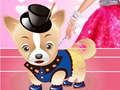 Spel Barbies hundklädsel på nätet