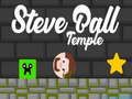 Spel Steve Ball Temple på nätet