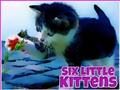 Spel Sex små kattungar  på nätet