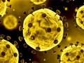 Spel Coronavirus-bild  på nätet