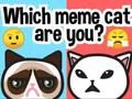 Spel Vilken memekatt Àr du? pÄ nÀtet Spel Vilken memekatt Àr du? pÄ nÀtet