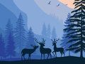 Spel Landskap Paradise Hidden  på nätet