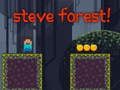 Spel Steve Forest på nätet