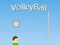Spel Volleyboll  på nätet