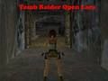 Spel Tomb Raider Öppna Lara  på nätet
