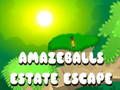 Spel Amazeballs Estate Escape på nätet