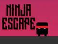 Spel Ninja flykt  på nätet