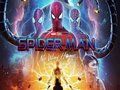 Spel Spider Man: Multiverse på nätet