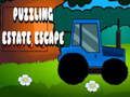 Spel Förbryllande Estate Escape  på nätet
