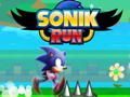 Spel Sonik Run på nätet