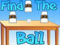 Spel Hitta bollen  på nätet