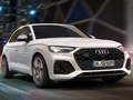 Spel Audi Sq5 TDI Slide på nätet