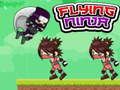 Spel Flygande ninja  på nätet