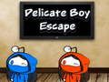 Spel Delikat Boy Escape  på nätet