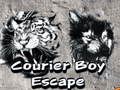 Spel Courier Boy fly på nätet