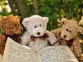 Spel Kudda tre Teddy Jigsaw på nätet