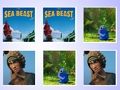 Spel Sea Beast Memory Card Match på nätet