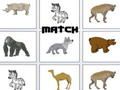Spel Match på nätet