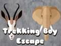 Spel Trekking Boy fly på nätet