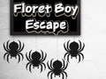 Spel Floret Boy fly på nätet