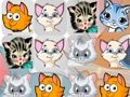 Spel Kattungar Match3  på nätet