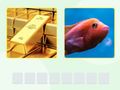 Spel Picword på nätet