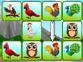 Spel Fåglar länk  på nätet