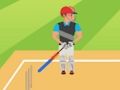 Spel Cricket 2d på nätet