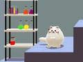 Spel Schrödingers Dual Cat  på nätet