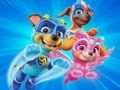 Spel Målarbok för Paw Patrol  på nätet