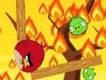 Spel Arga fåglar. io  på nätet