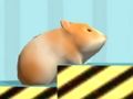 Spel Hamster För att bekräfta  på nätet