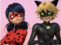 Spel Mirakulösa nyckelpiga & Cat Noir pussel  på nätet