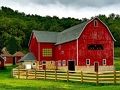 Spel Thanksgiving Rustik Farm Escape  på nätet