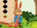 Spel Ekorre Escape  på nätet