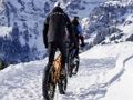 Spel Mountainbike sticksåg  på nätet