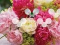 Spel Ganska blomma tapeter fly på nätet