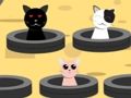 Spel Fånga katter  på nätet