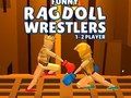 Spel Roliga Ragdoll Wrestlers  på nätet