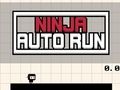 Spel Ninja Auto Run på nätet