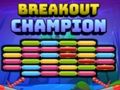 Spel Breakout mästare på nätet