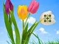 Spel Blomma gräsmatta flykt på nätet