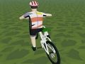 Spel Rider Extreme 3D  på nätet