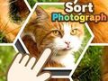 Spel Sortera fotografi  på nätet