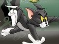 Spel Tom och Jerry Chase i Marsh  på nätet
