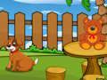 Spel Rolig Iguana Escape  på nätet