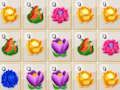 Spel Blomningssnörelse på nätet